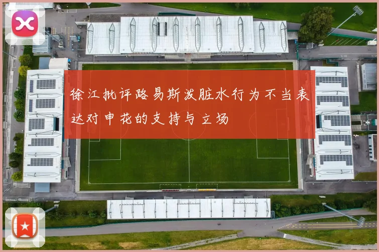 徐江批评路易斯泼脏水行为不当表达对申花的支持与立场