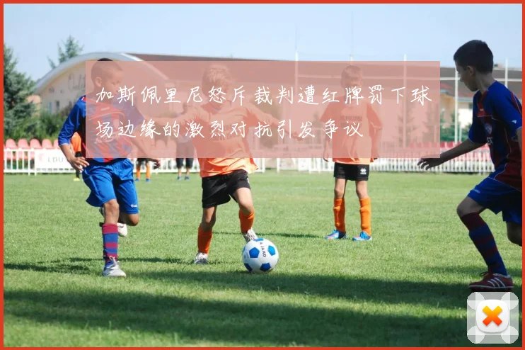 加斯佩里尼怒斥裁判遭红牌罚下球场边缘的激烈对抗引发争议