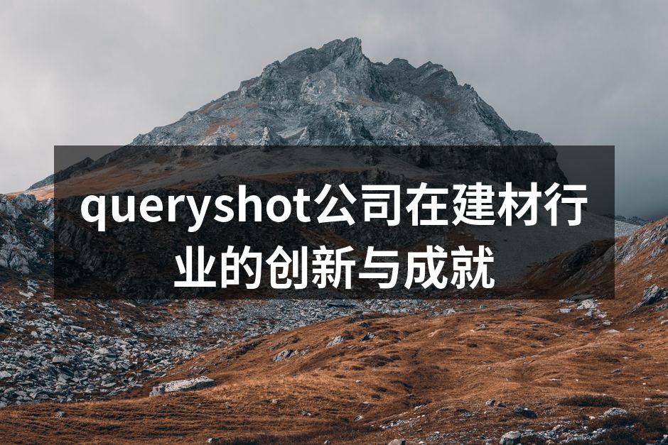 queryshot公司在建材行业的创新与成就